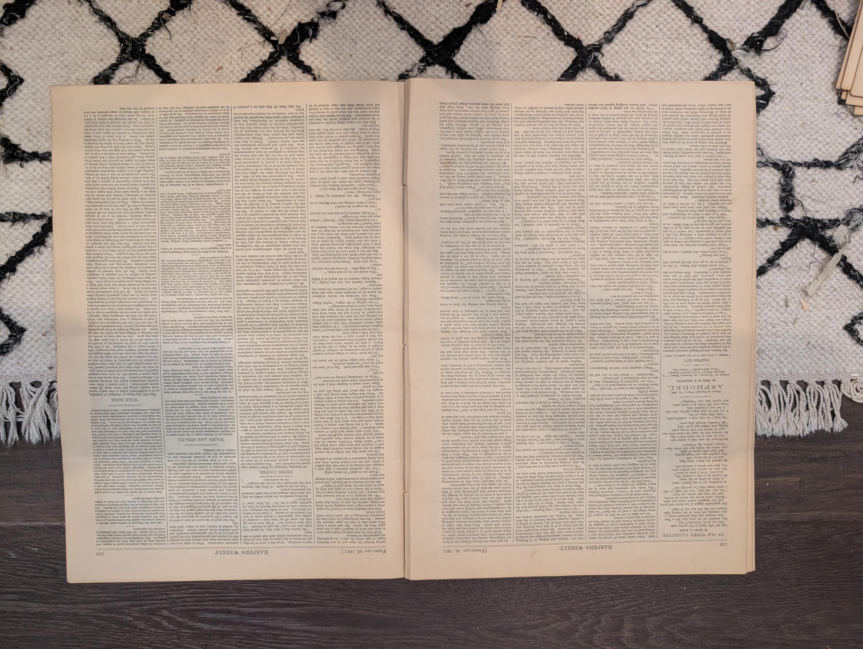 1881 Nast Interior Investigation, Bowery NYC, Valentine's Day, Bicycles vs Skates — Feb 26