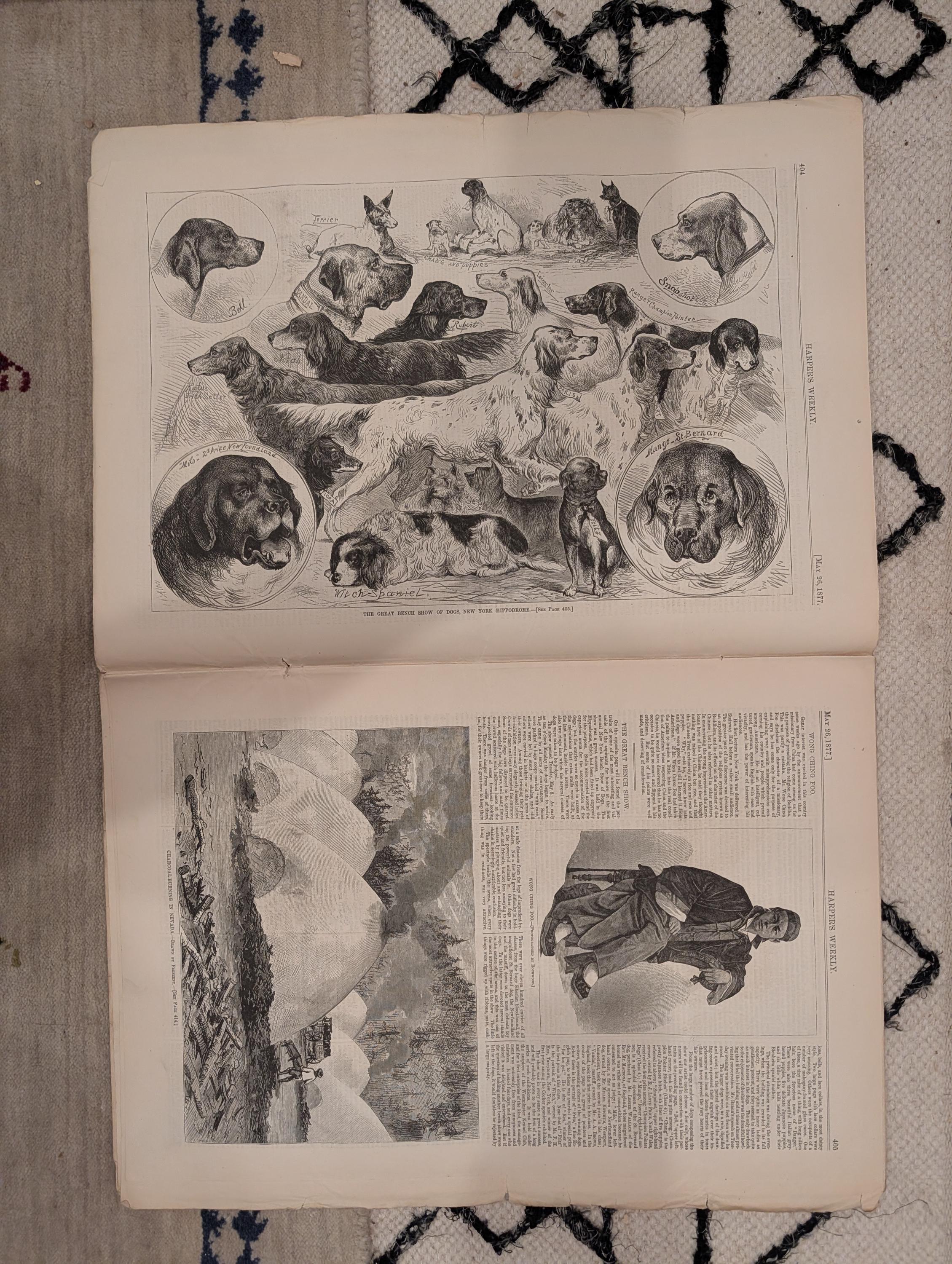 1877 Westminster Dog Show, Nast Czar War, Circular Ironclad, Barnum — May 26