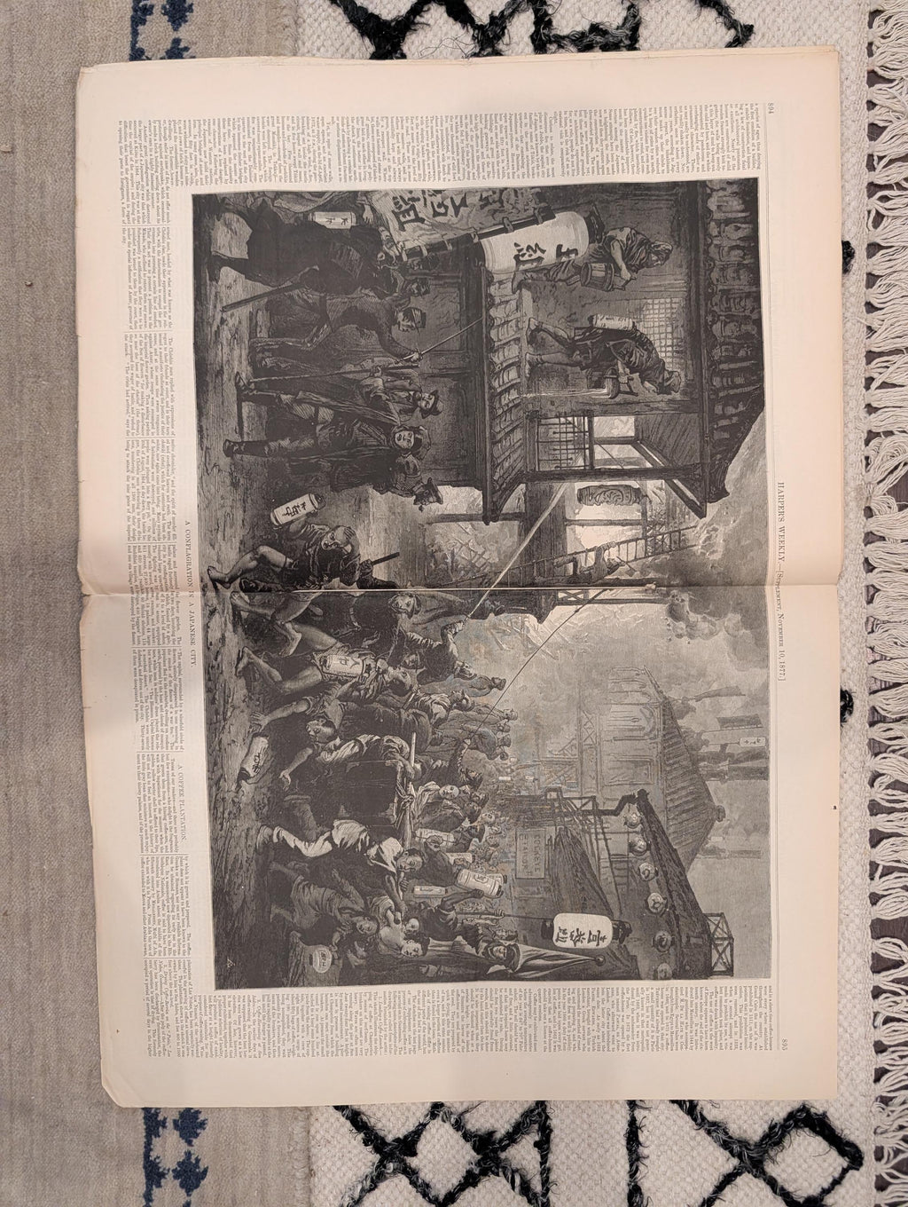 1877 New Jersey Cranberry Bog, Trafalgar Redoutable, Nast — Nov 10