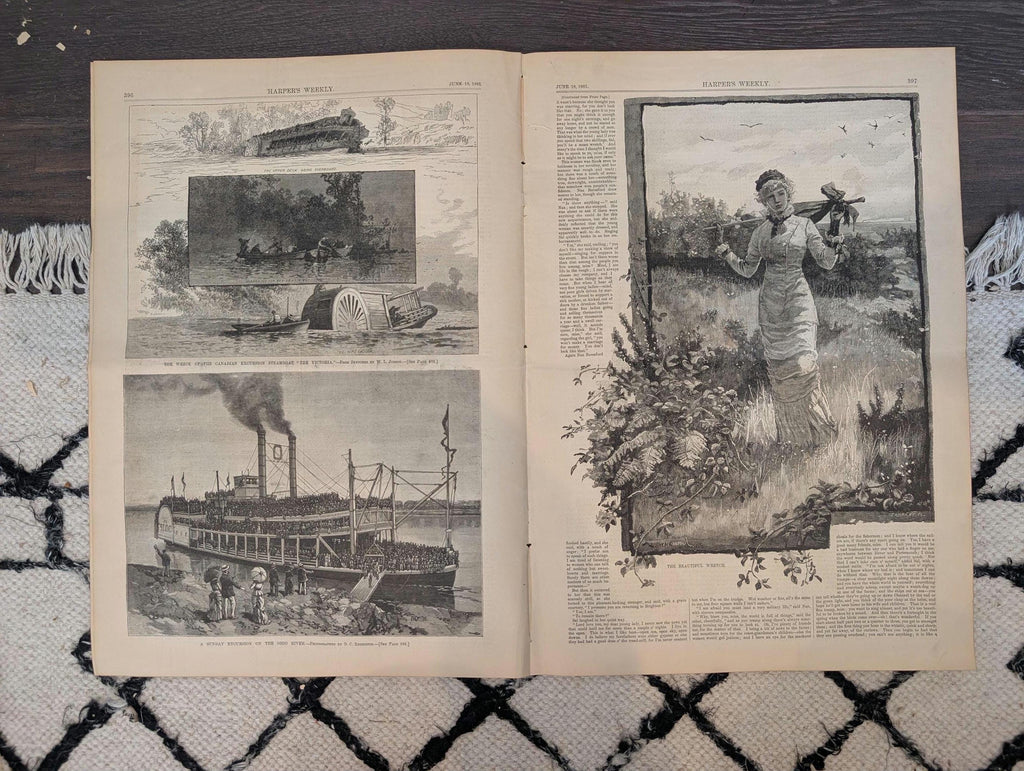 1881 Ohio River Paddlewheeler, Victoria Steamboat Wreck, Bicycle Parade, Nast — Jun 18
