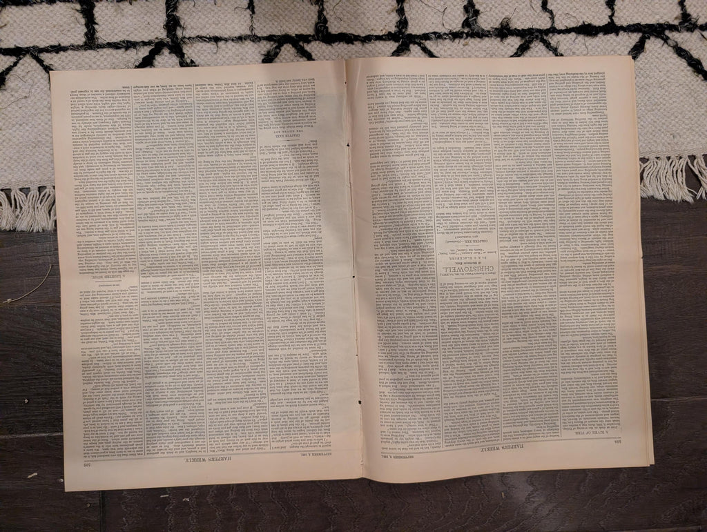 1881 Mauna Loa Lava Flow Hawaii, Newsboys Excursion, Colorado Travel — Sept 3