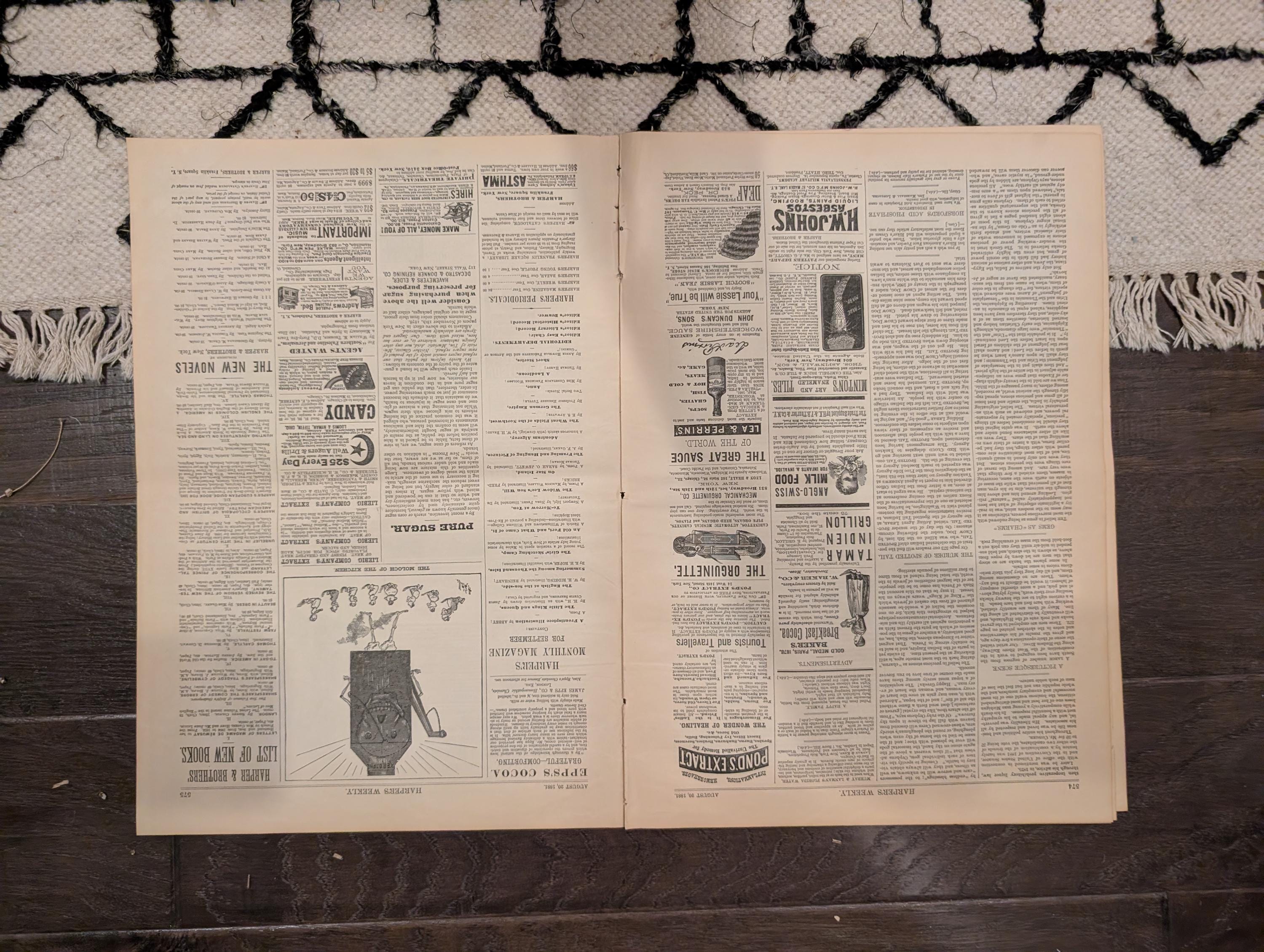 1881 Nast "Clean Sweep NYC," Hunter's Point Sick Room, Negro Laborers Hudson — Aug 20