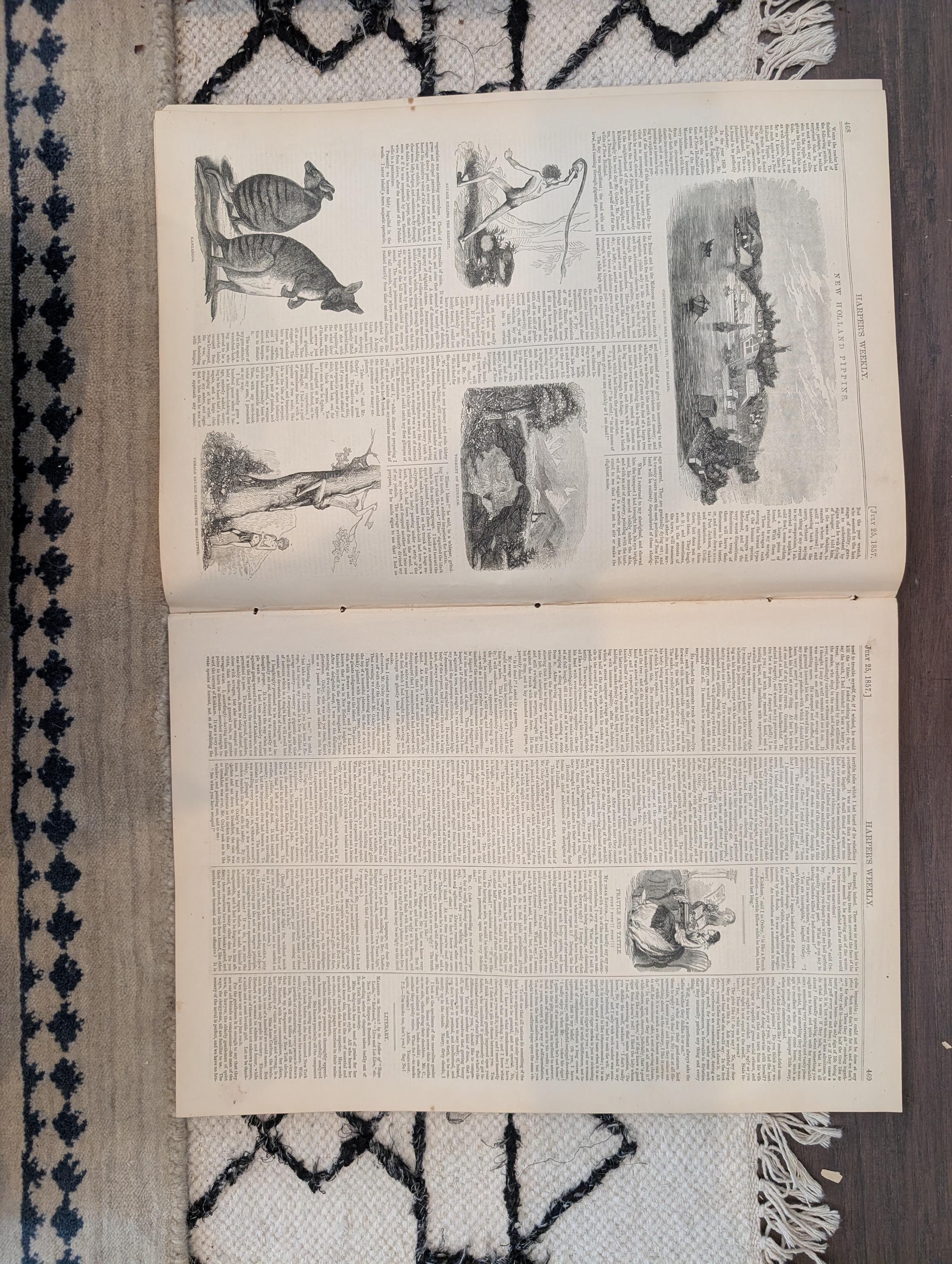 1857 Flying Machines Harper's Weekly July 25 Hot Air Balloons Sydney Australia