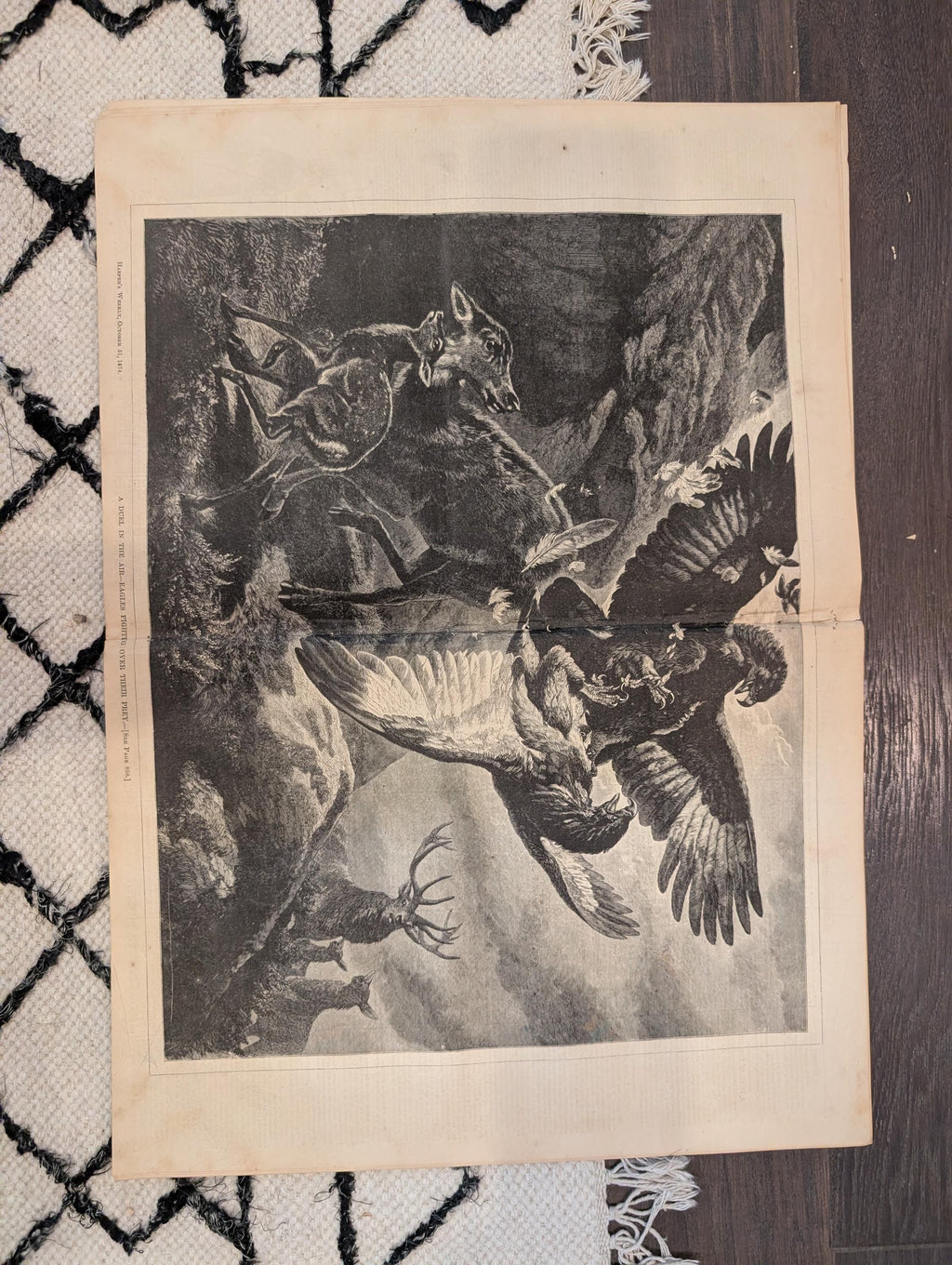 1874 Blacks Voting Cartoon, Eagles Duel Centerfold, Africa Gold — Oct 31