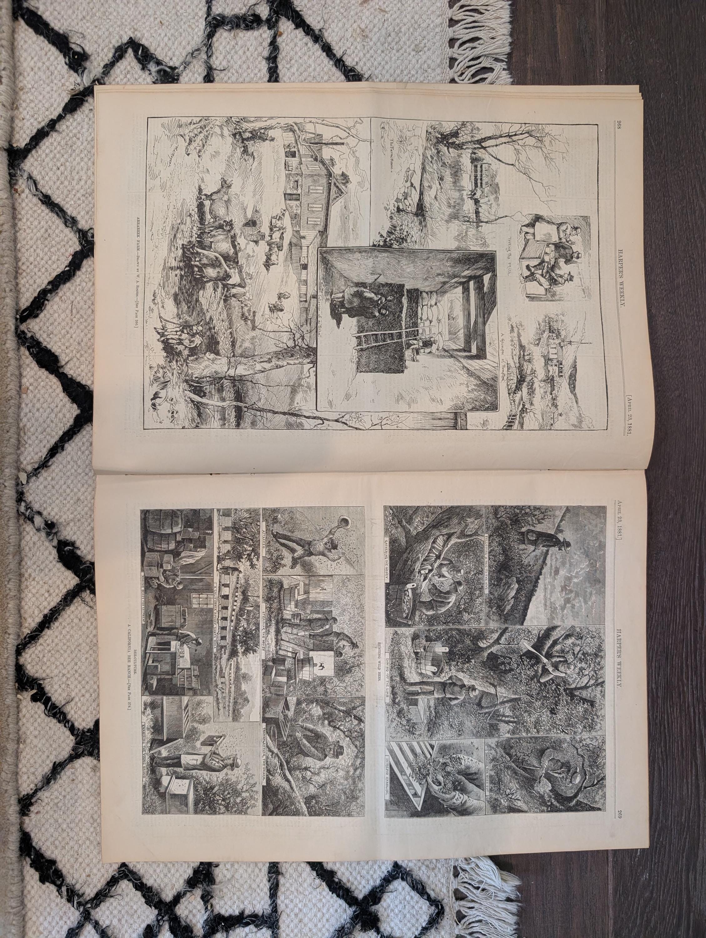 1881 Nast Double Issue, California Bee Ranch, Czar Assassination Scene — Apr 23