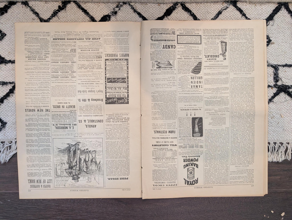 1881 Coney Island Pigeon Shooting, Yacht Racing, Nast "Pound Him" — Jul 9