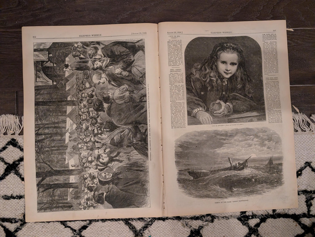 Harper’s Weekly – August 29, 1868 – Thaddeus Stevens Death • Cattle Plague • Methodist Camp Meeting • Shipwreck