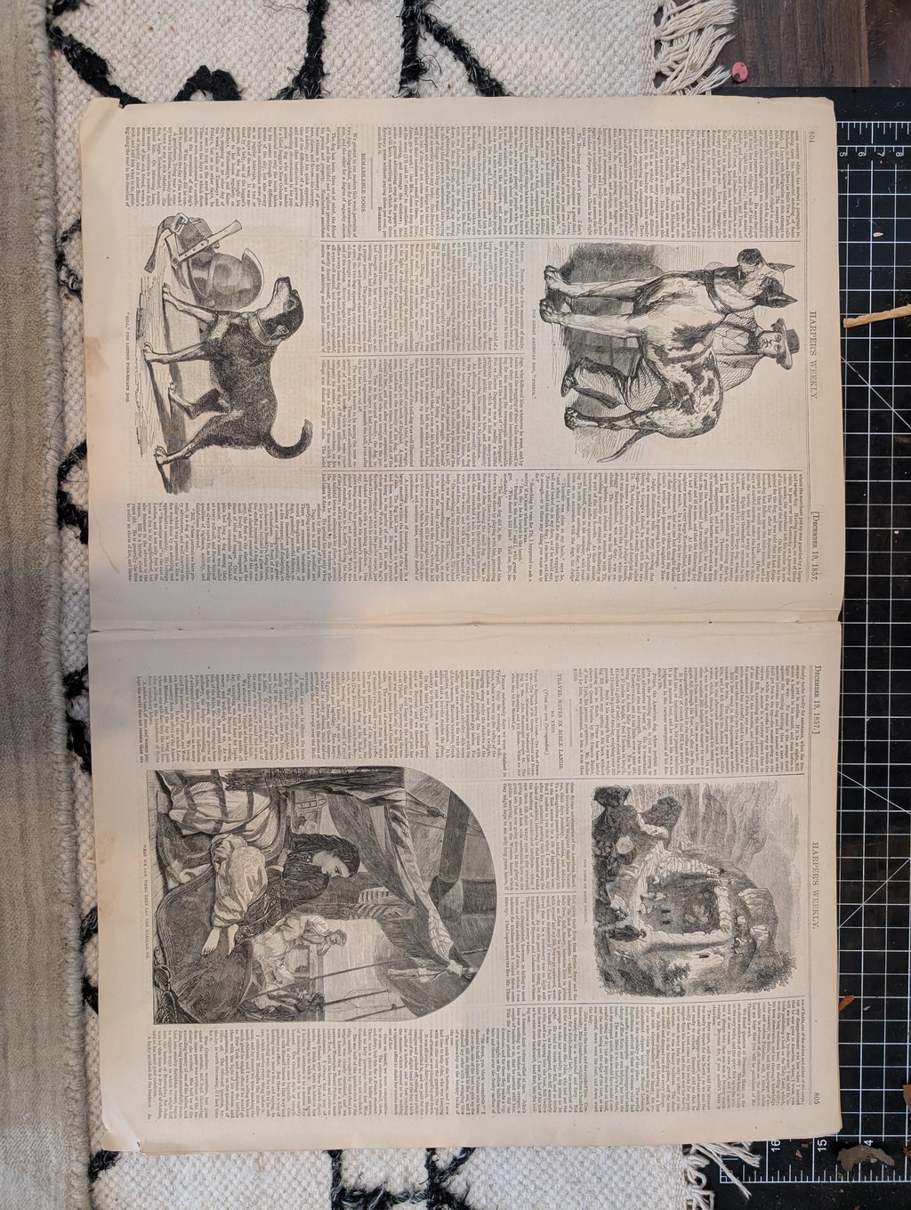 1857 Sir Henry Havelock Harper's Weekly December 19 Broadway Delhi Dogs