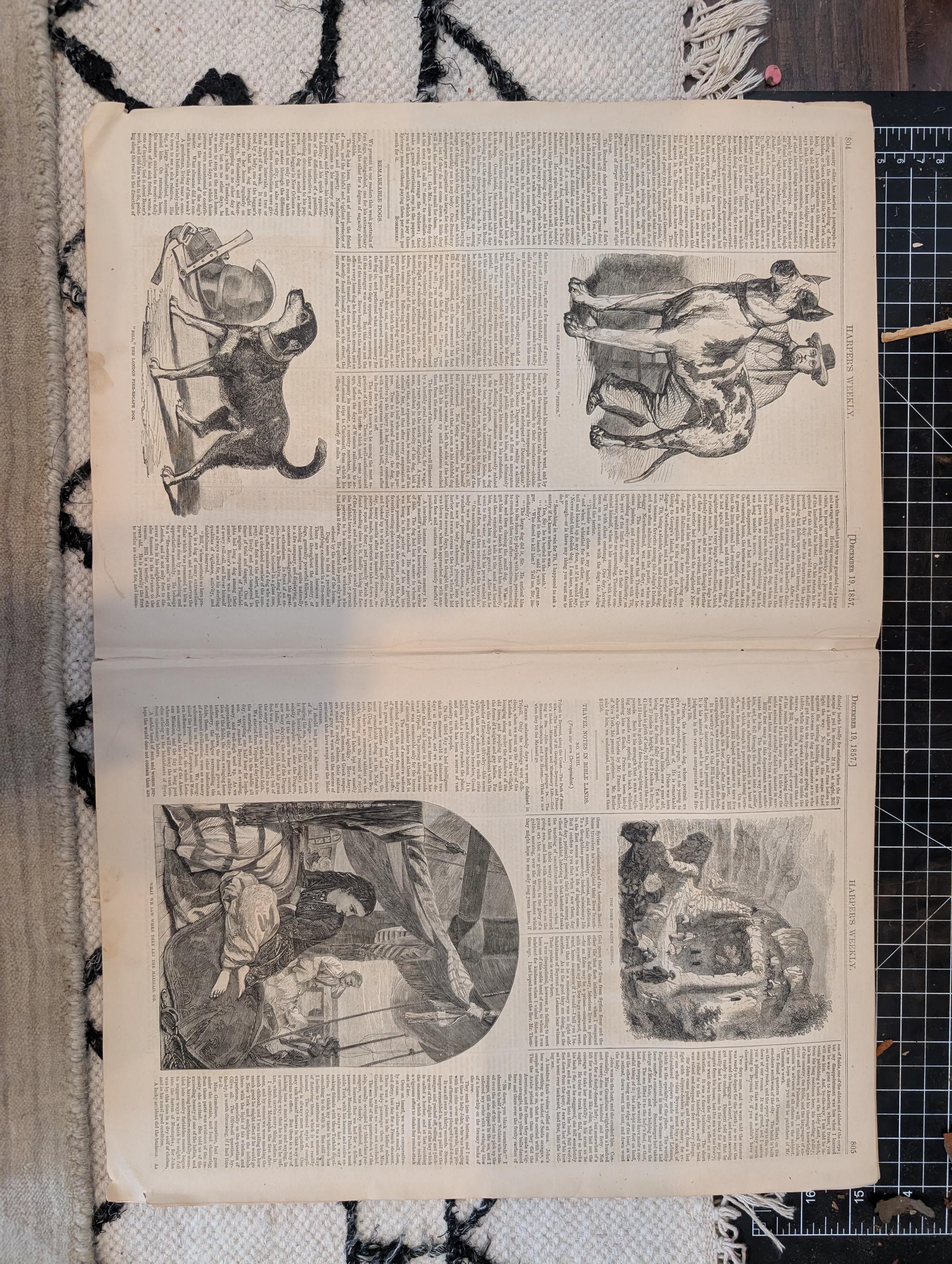 1857 Sir Henry Havelock Harper's Weekly December 19 Broadway Delhi Dogs