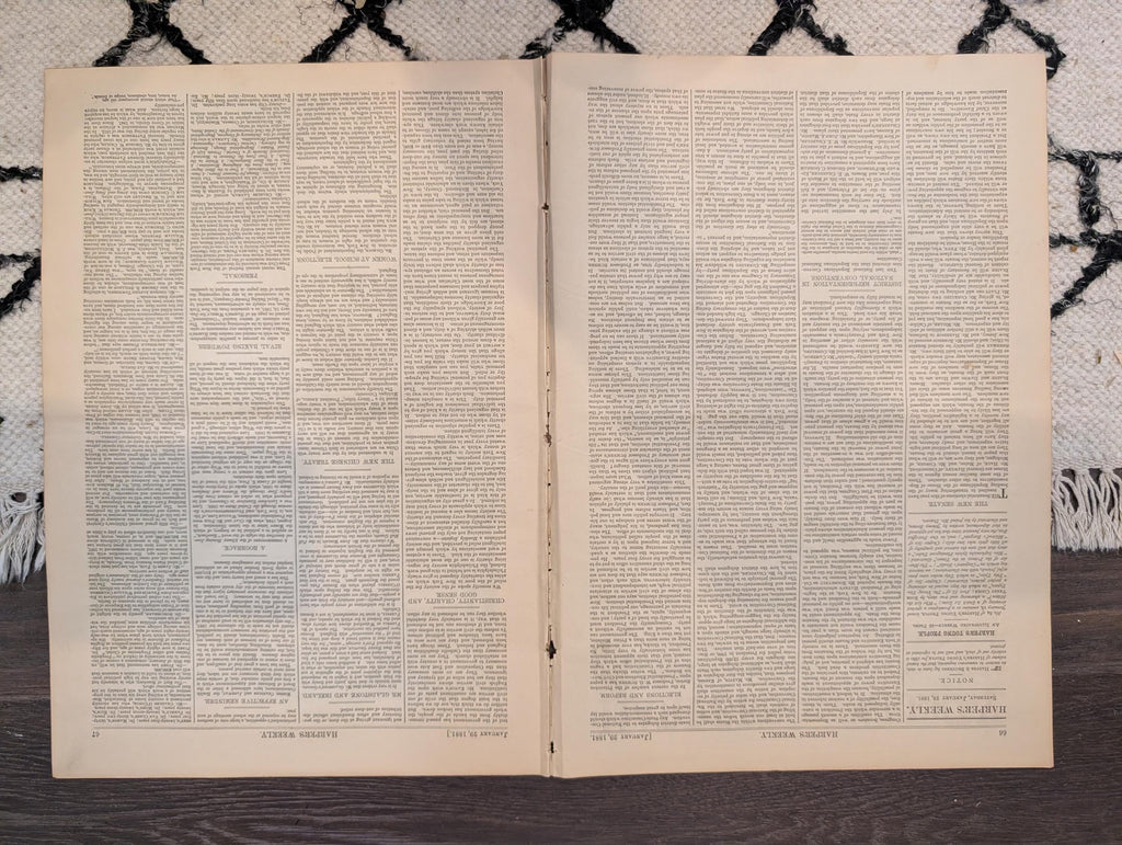 1881 Nast Foreign Encroachment, Prairie Blizzard, Ice Blockade, January Thaw NYC — Jan 29