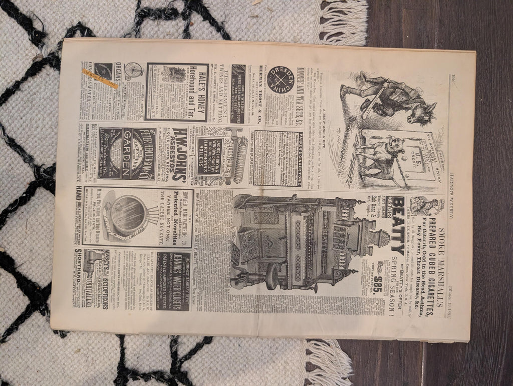 1881 Garfield Inauguration Centerfold, Nast Grant Central Park — Mar 19