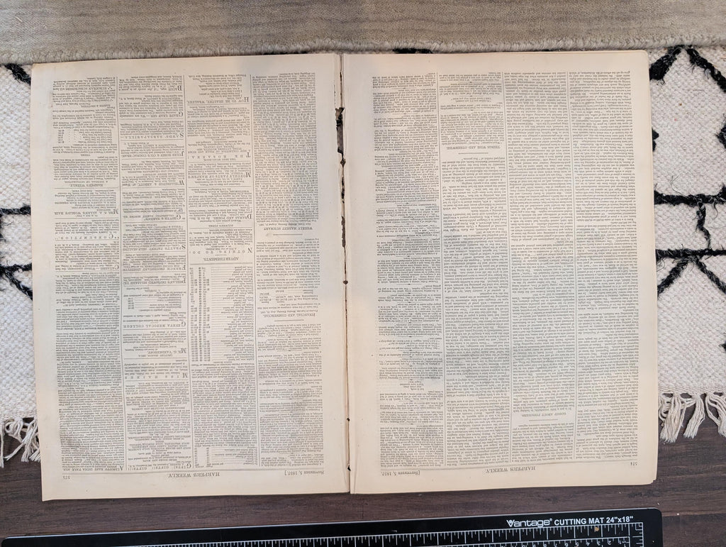 1857 Princess Charlotte Harper's Weekly September 05 African Exploration Cana