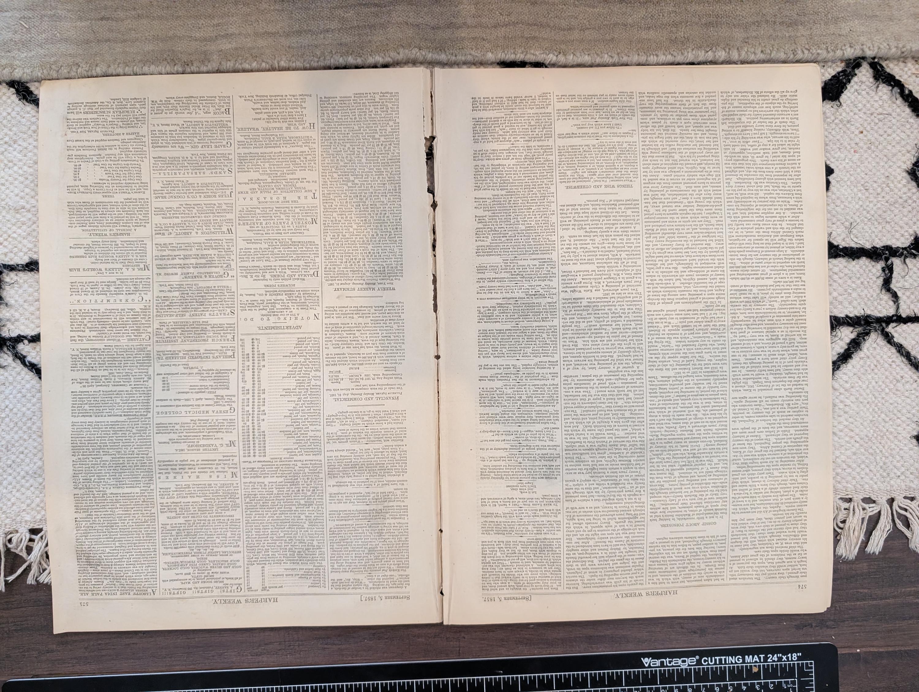 1857 Princess Charlotte Harper's Weekly September 05 African Exploration Cana