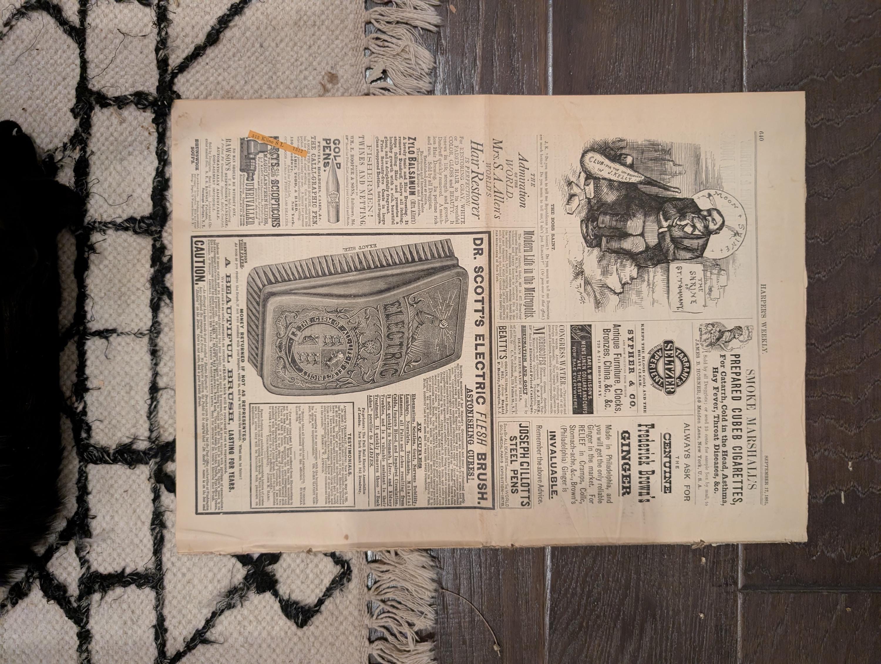 1881 Nast "God Save the President," Garfield's Final Journey, Elberon — Sep 17