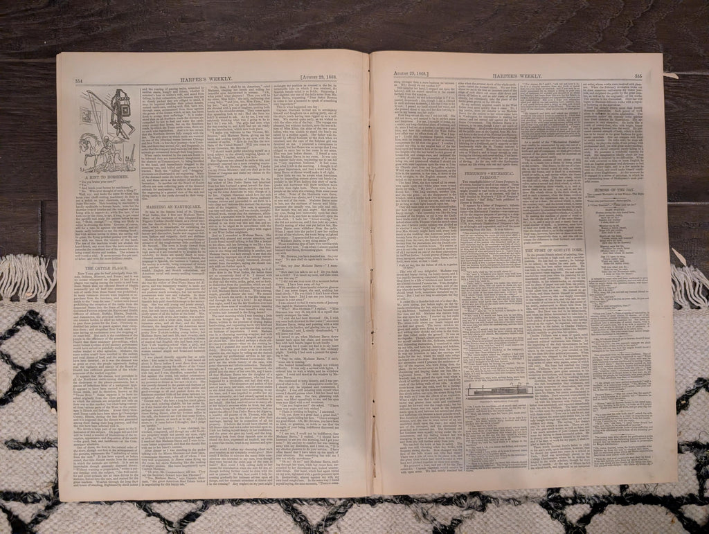 Harper’s Weekly – August 29, 1868 – Thaddeus Stevens Death • Cattle Plague • Methodist Camp Meeting • Shipwreck