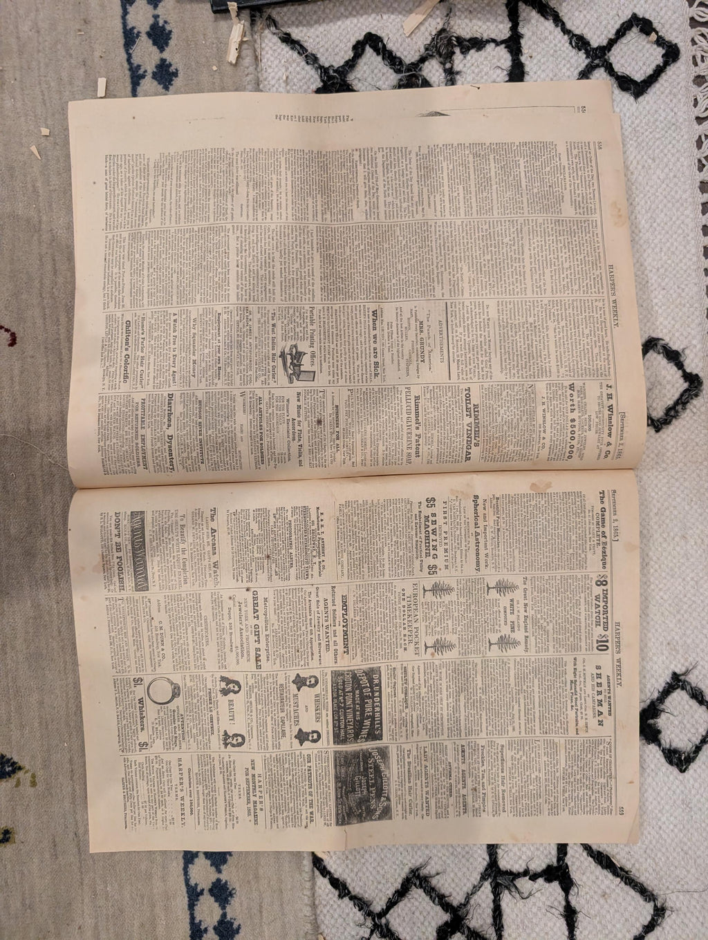 1865 Sept 2  Castle Garden Immigrants, Housatonic Railroad Disaster, Wall Street