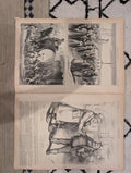 1872 Baltimore Nast Harper's Weekly Aug 03 Grant Education Picnics