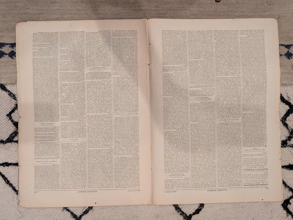 1877 Westminster Dog Show, Nast Czar War, Circular Ironclad, Barnum — May 26