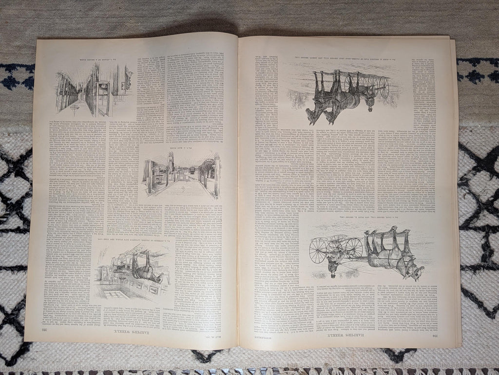 1891 Robert Peary Arctic, Metropolitan Museum Cntfd, Union Square Flowers May 23