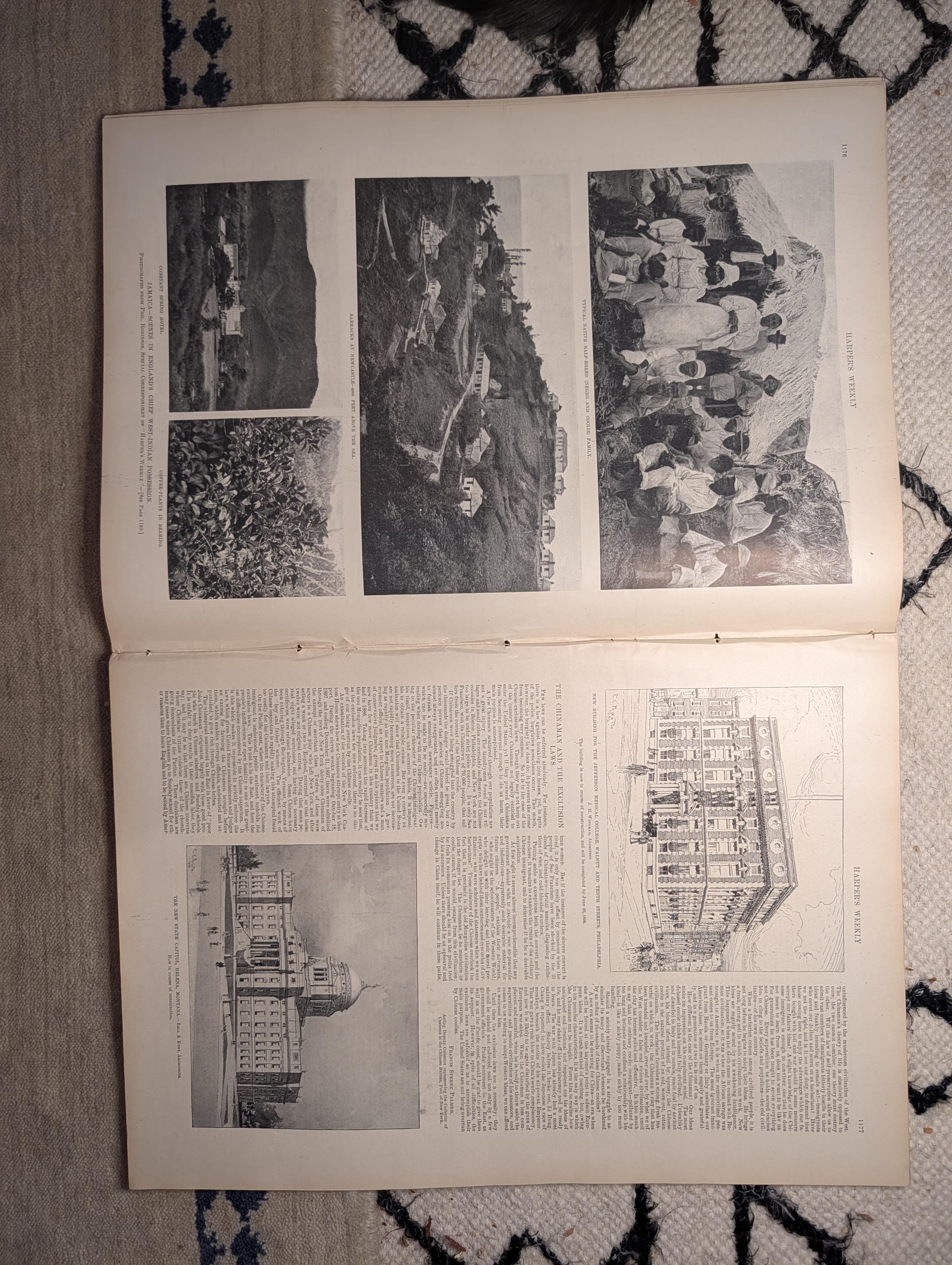 1898 Art Treasures of New York Centerfold, Jamaica, Ponce Puerto Rico — Dec 3