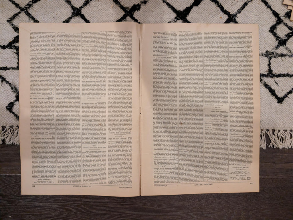 1881 America's Cup Race, Grand Street Tenement Disaster, Shore Shooting — Nov 19