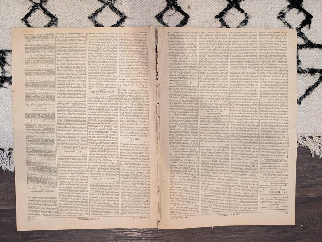 1874 Nast Colorado Murder, Liberty Centerfold, Ireland-America — Oct 17