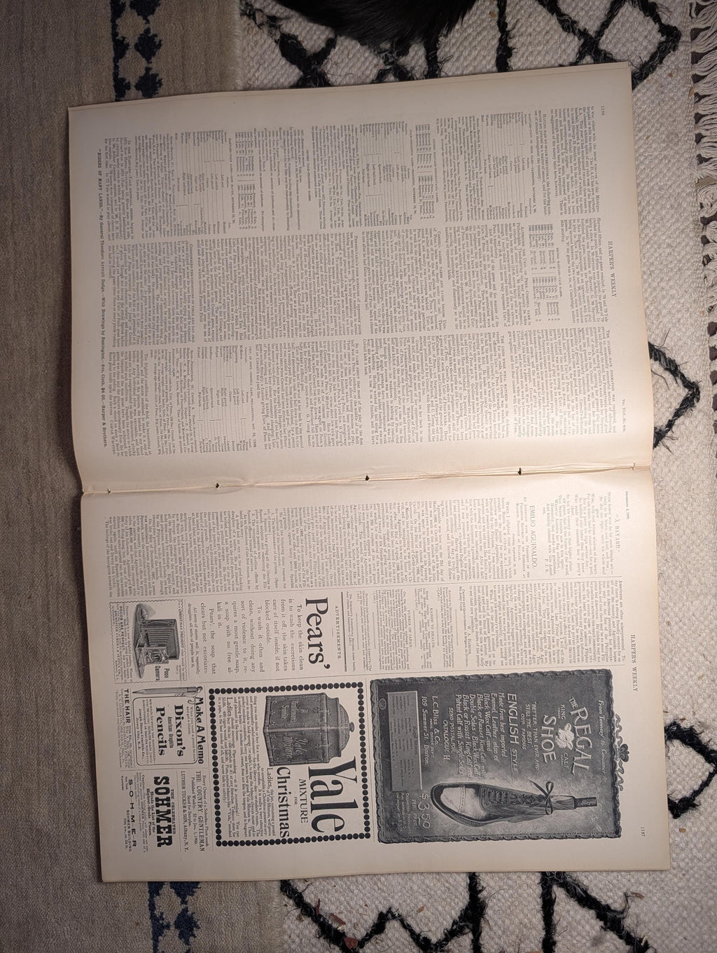 1898 Art Treasures of New York Centerfold, Jamaica, Ponce Puerto Rico — Dec 3
