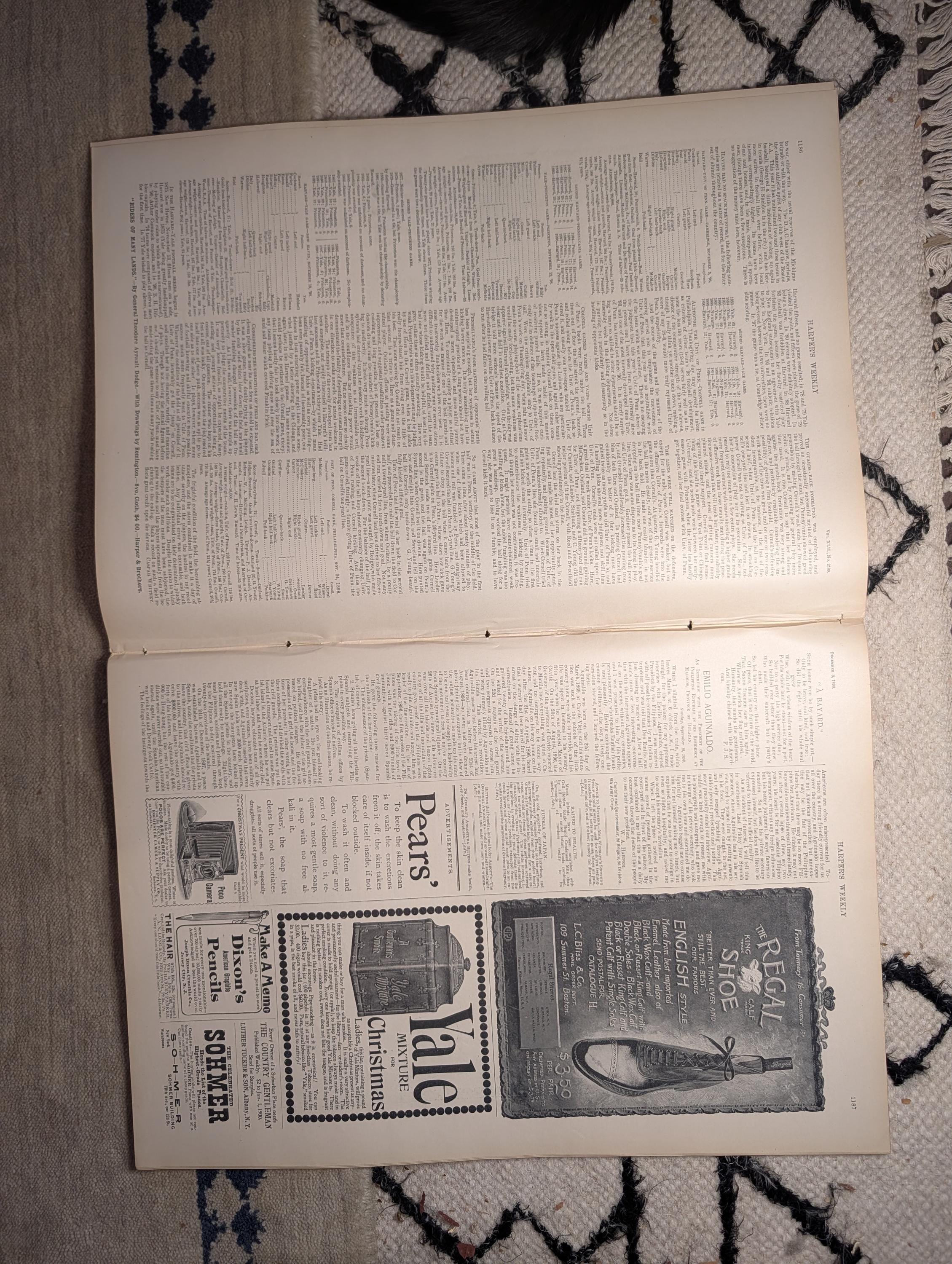 1898 Art Treasures of New York Centerfold, Jamaica, Ponce Puerto Rico — Dec 3